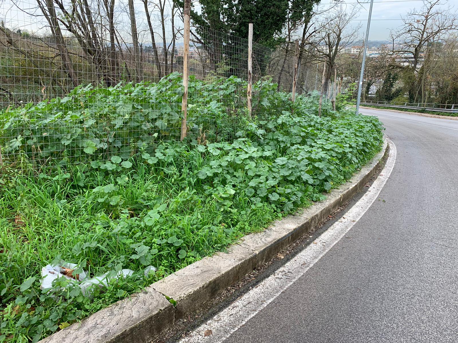 Marciapiede senza manutenzione in via Comano