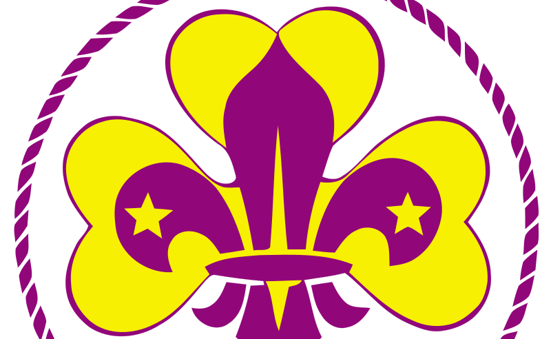 Scout Covid-19