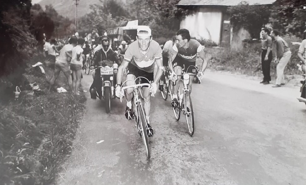 Massignan Gavia