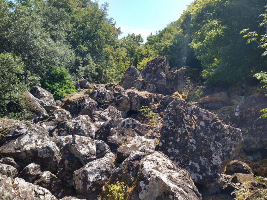 La foresta incantata, il marchese e il castello. Benvenuti nel Bosco del Sasseto