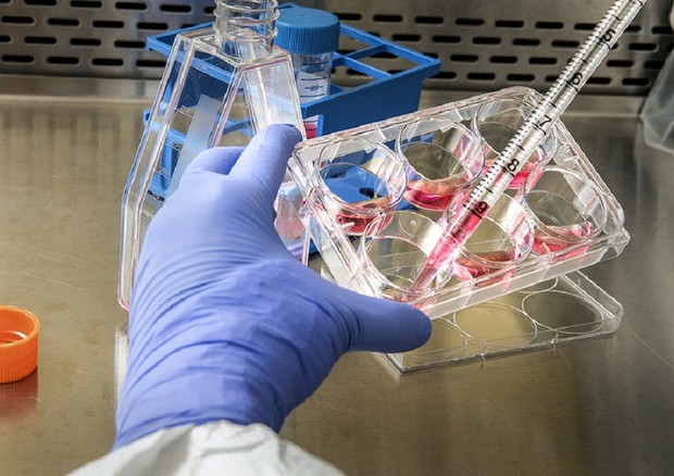 Massimo Andreoni vaccino Oxford