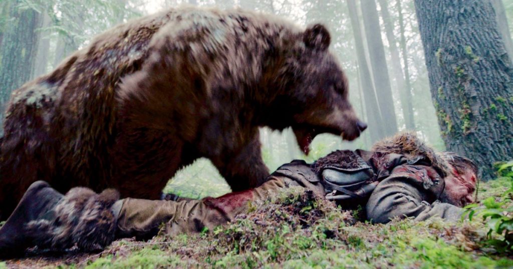 Attenti all’orso! Il possibile equilibrio tra uomo e natura