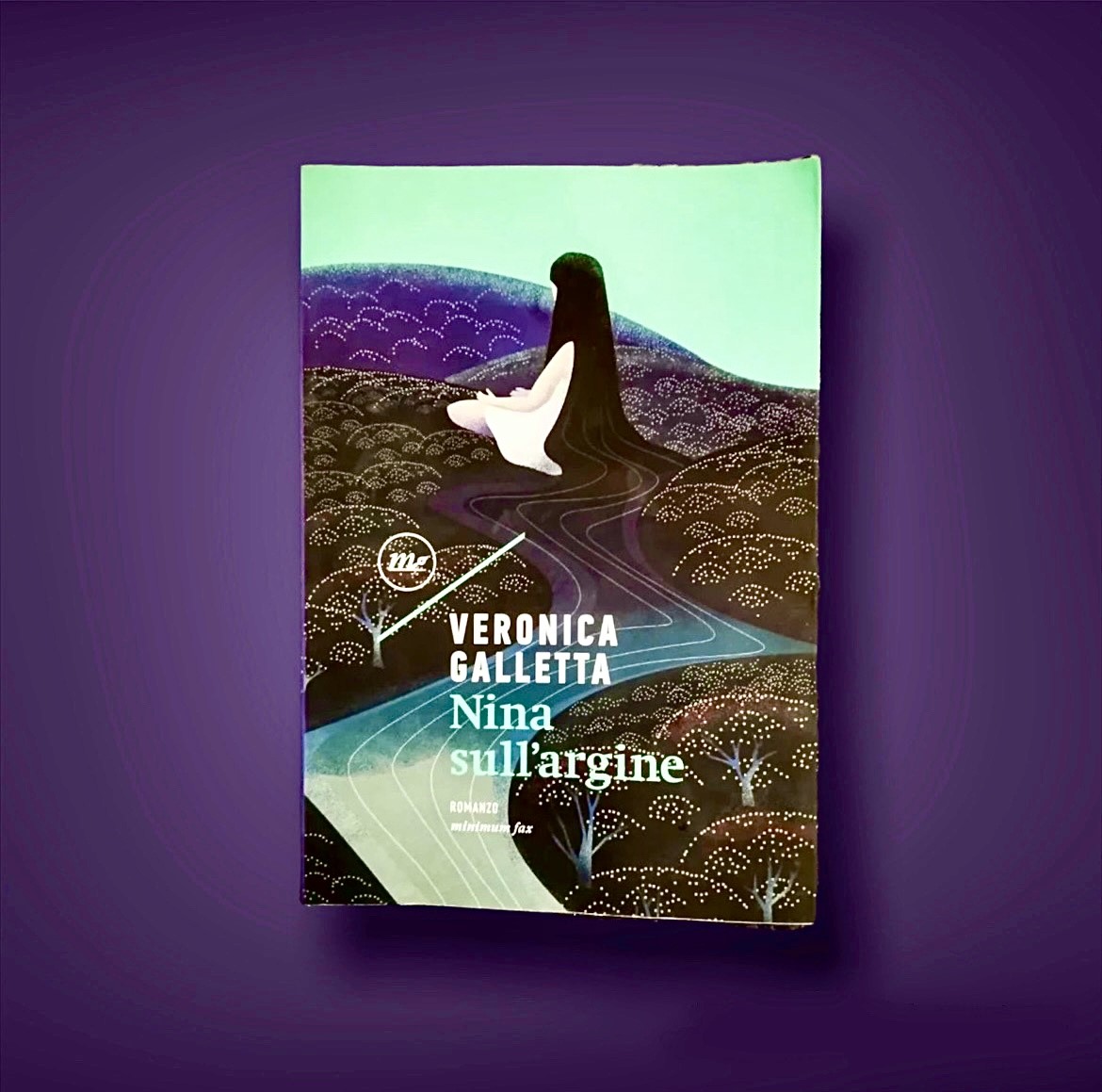 nina sull'argine libro premio strega