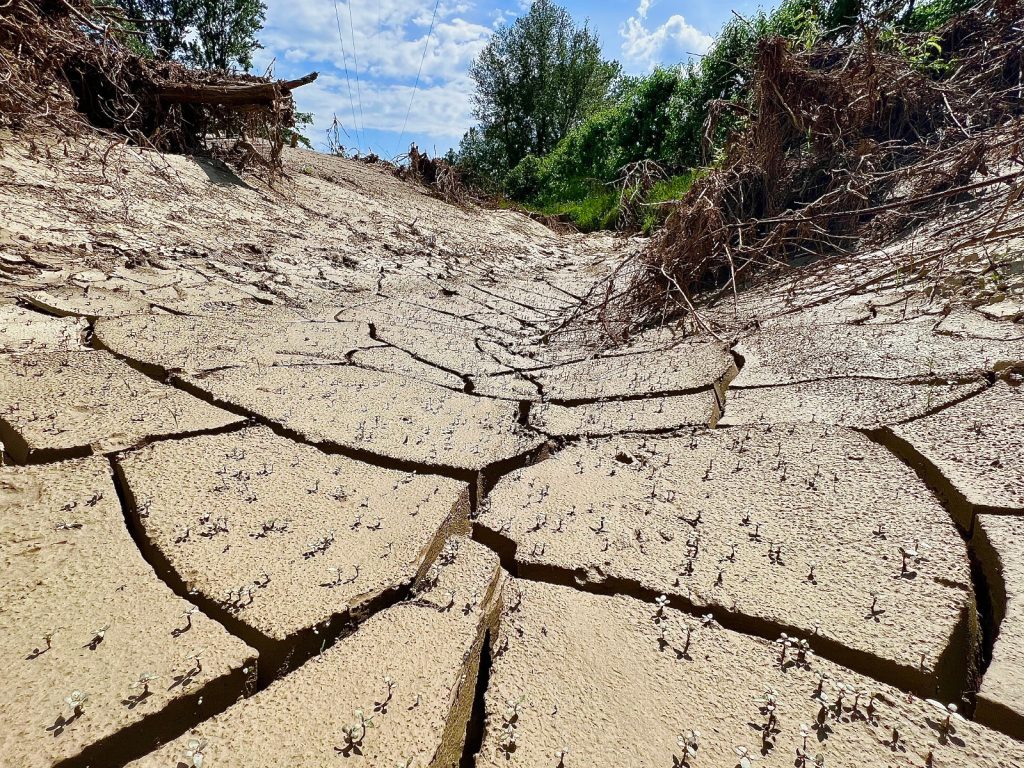 Restano solo crepe nel fango: le foto dall'Emilia Romagna