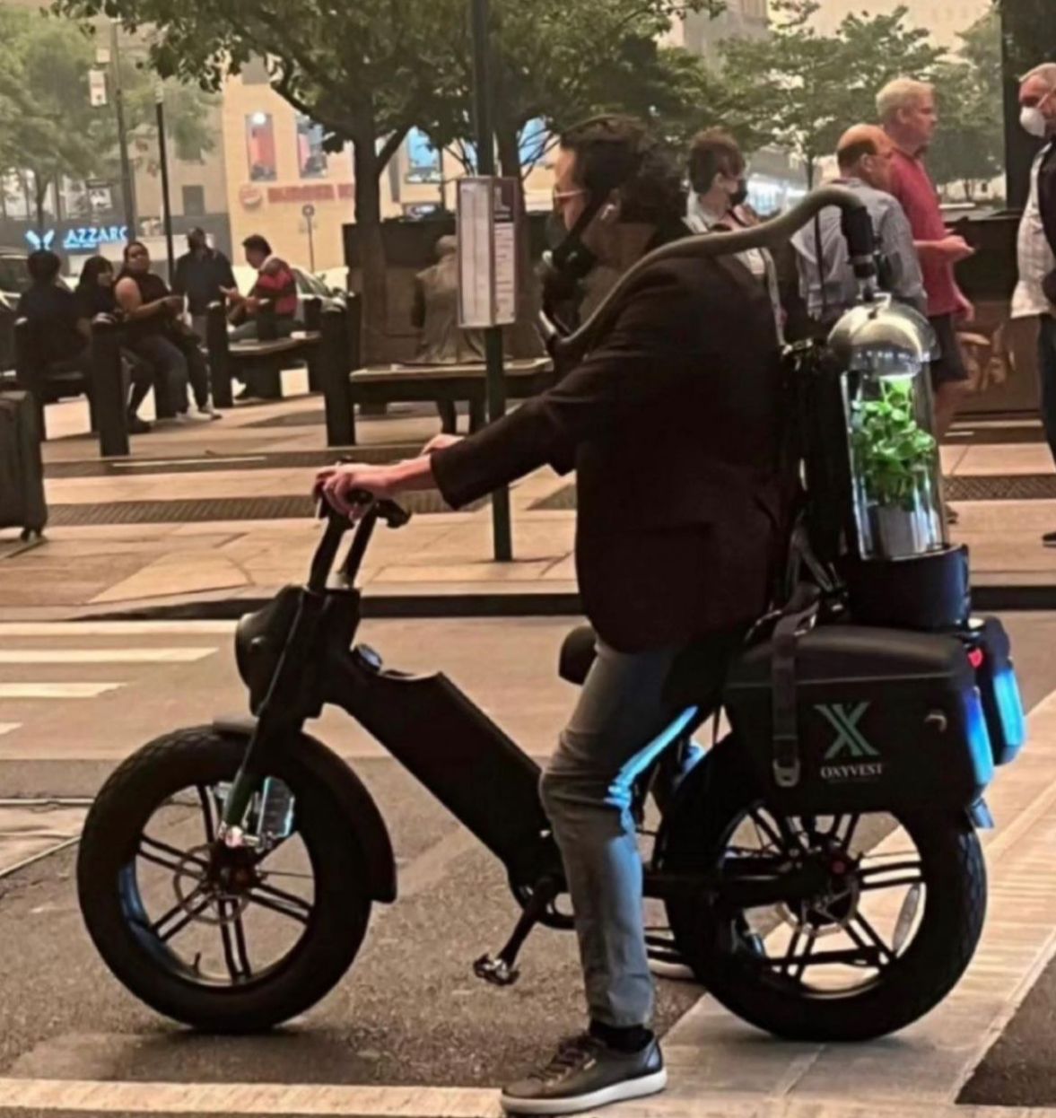 maschere alimentate a piante