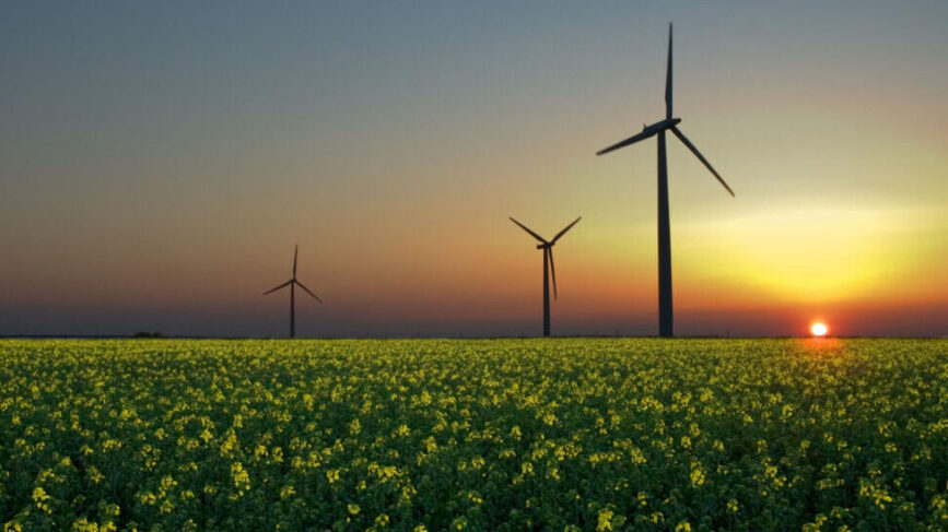 riciclo rifiuti Italia Bompan