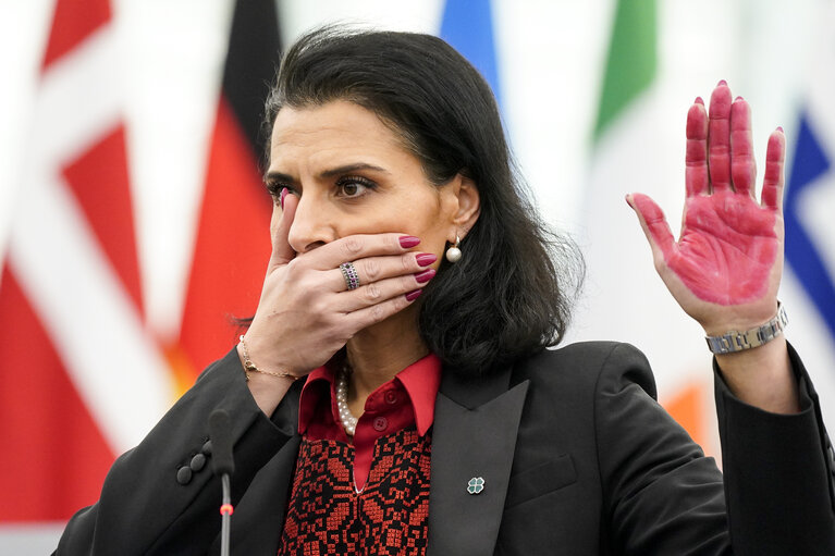 gaza strasburgo plenaria