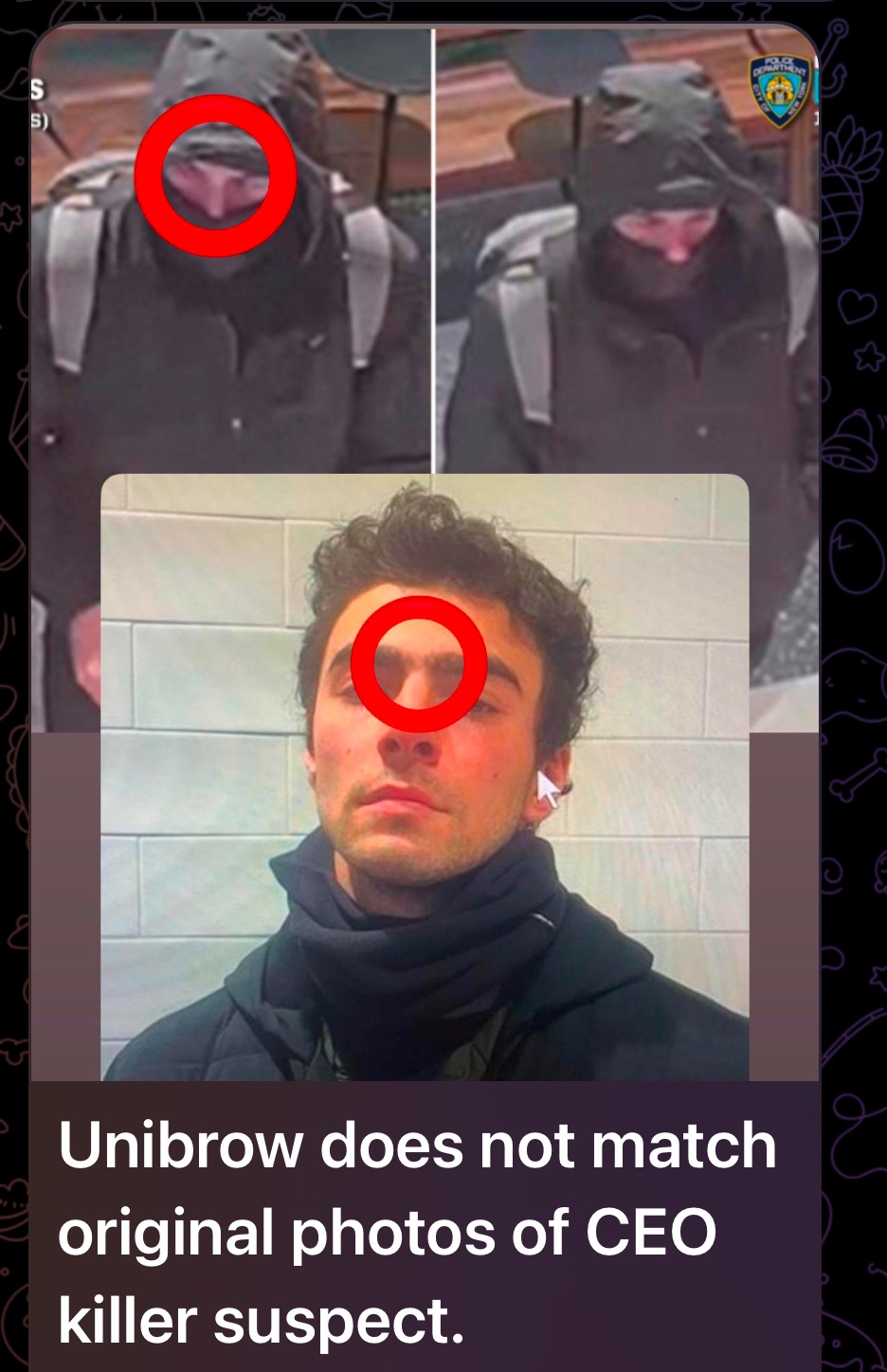 Luigi Mangione Thompson