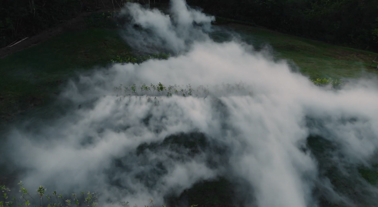 Khao Yai foresta thailandia