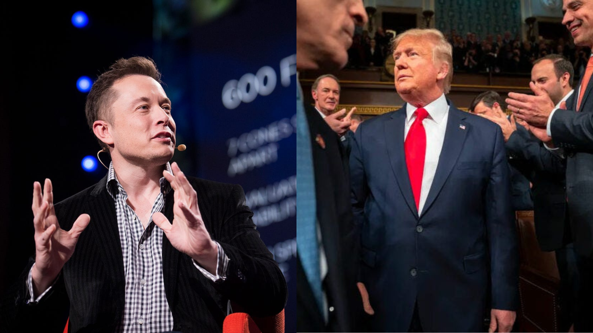 musk trump
