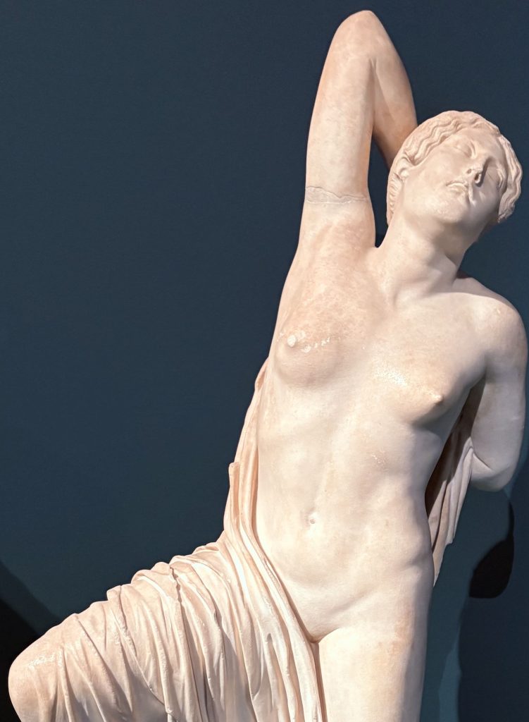 Il gusto e l'estetica dell'occidente