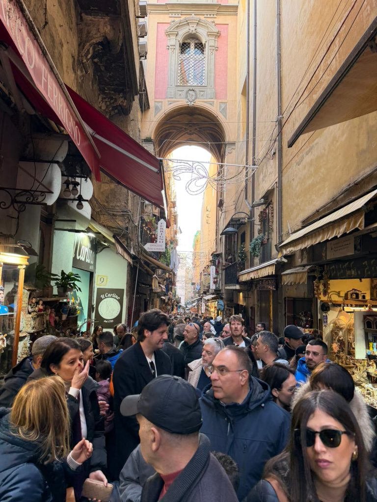 «Non è più via dei Tribunali, è una friggitoria a cielo aperto»