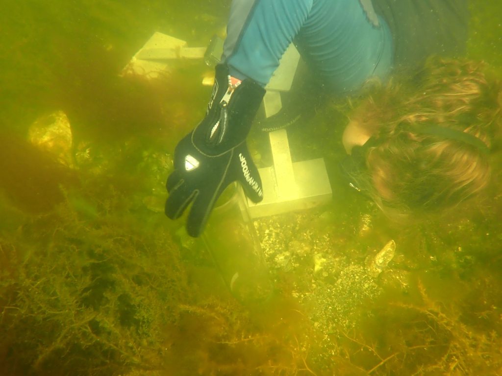 Erasmus Mundus: the IMBRSea project